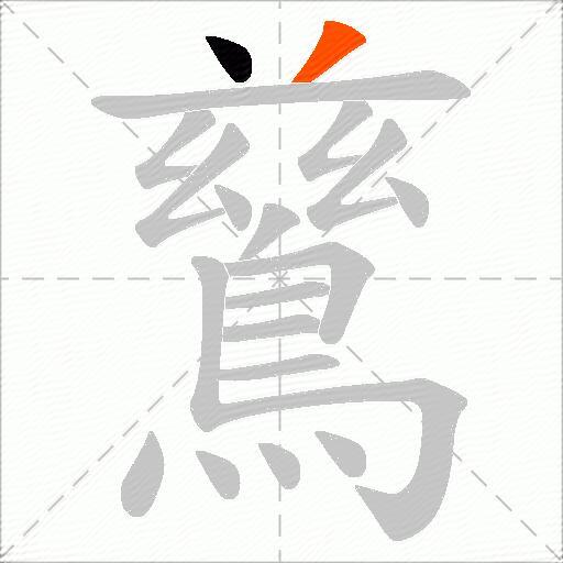 鶿