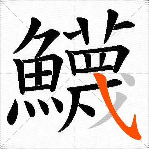 鱴