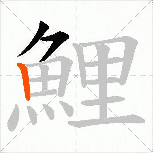 鯉