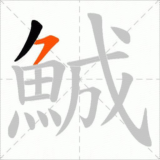 鯎