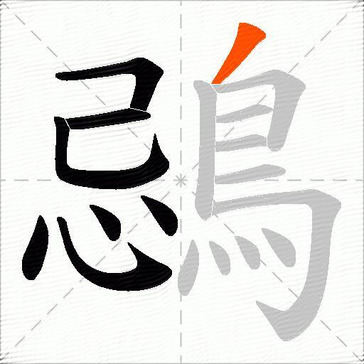 鵋
