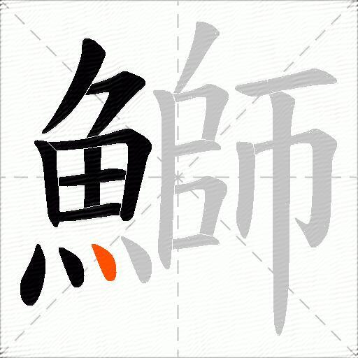 鰤