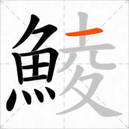 鯪