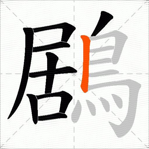 鶋