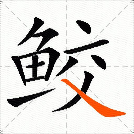 鲛