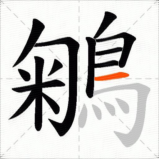 鵴