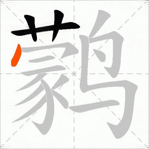 鹲