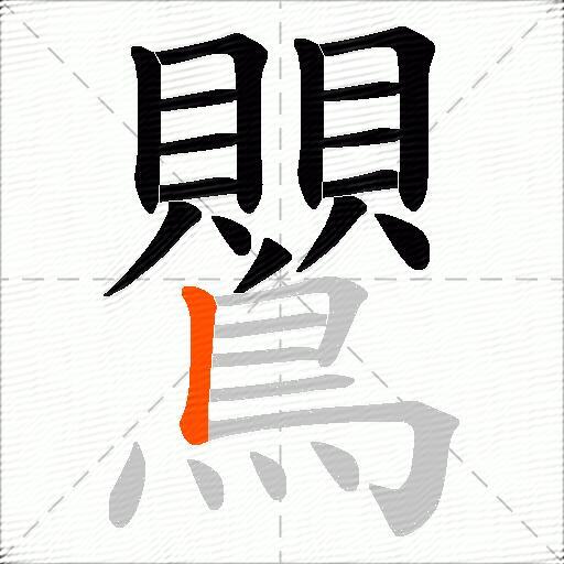 鸎