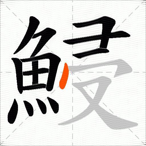 鮼
