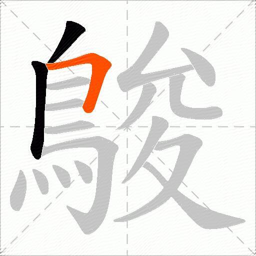 鵔