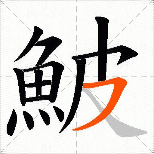 鮍