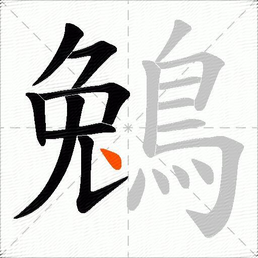鵵