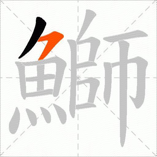 鰤