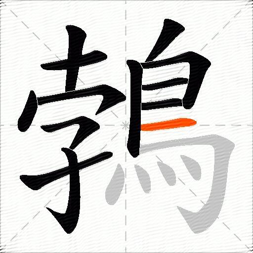 鵓