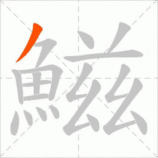 鰦