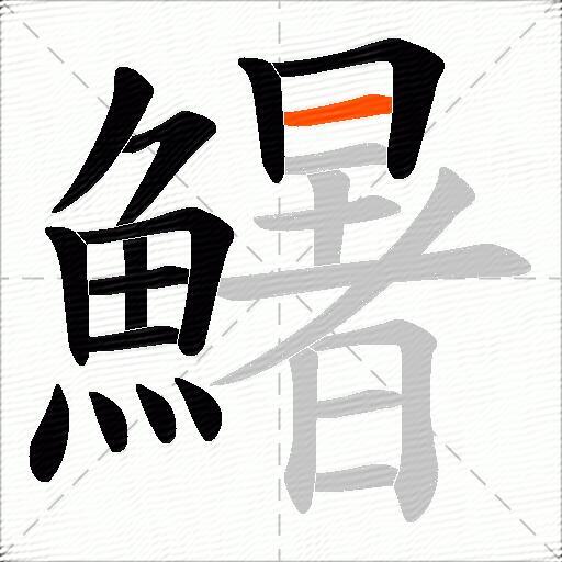 鱪