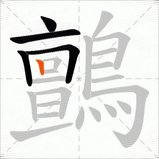 鸇