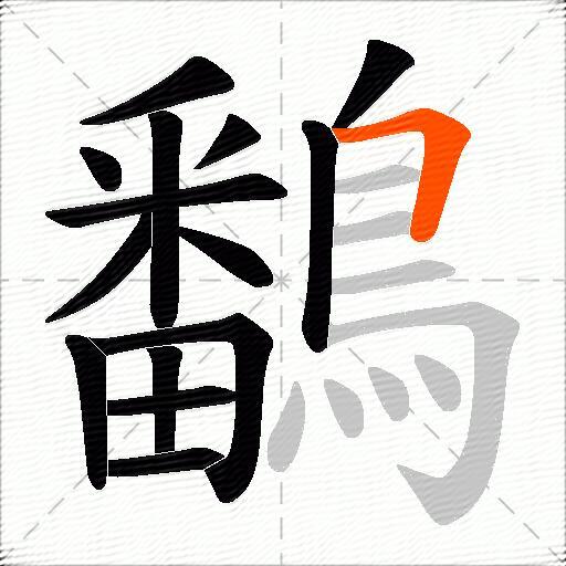 鷭