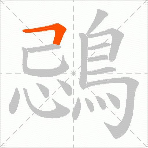 鵋