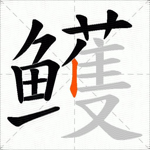 鳠