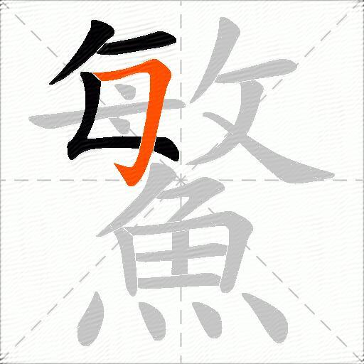 鰵