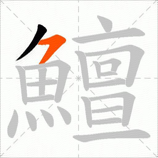 鱣