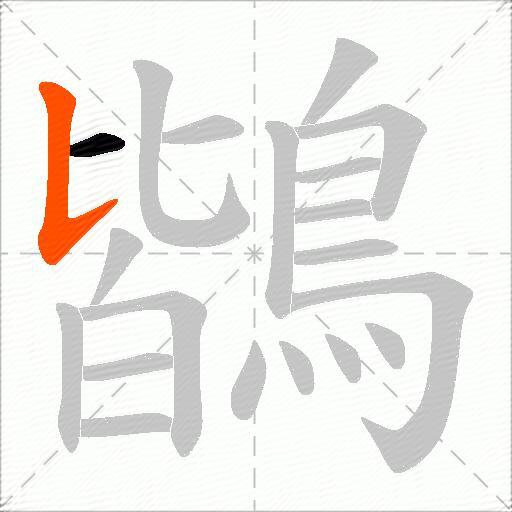 鶛