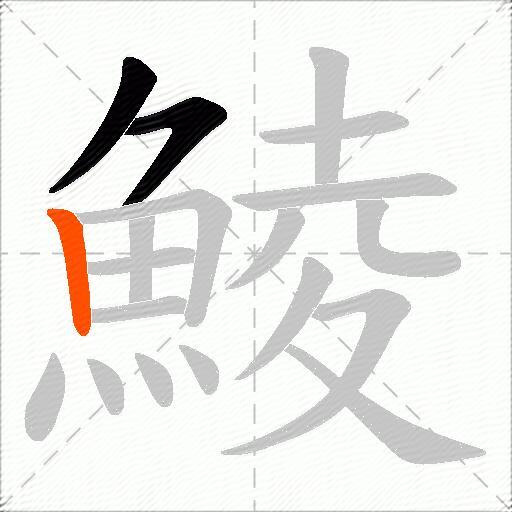 鯪
