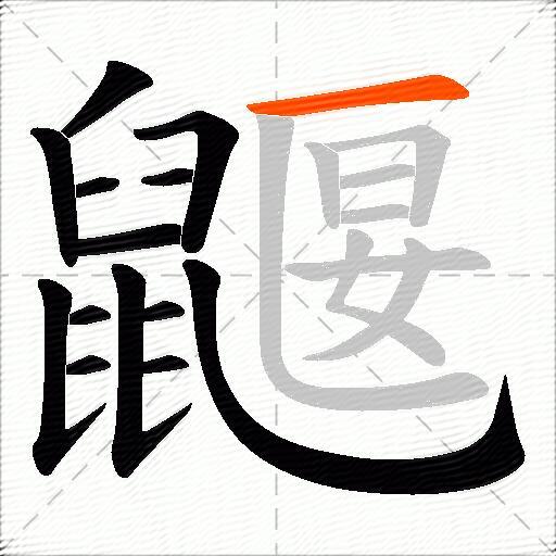 鼴