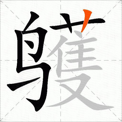 鹱