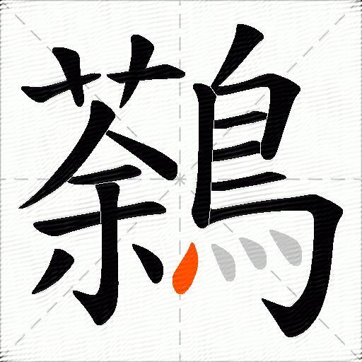 鷋