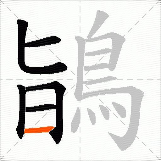 鴲