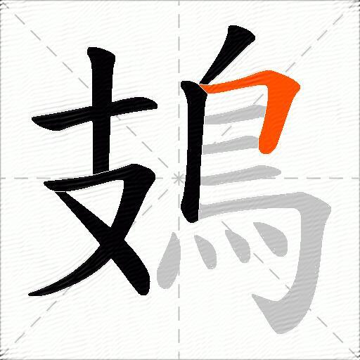鳷