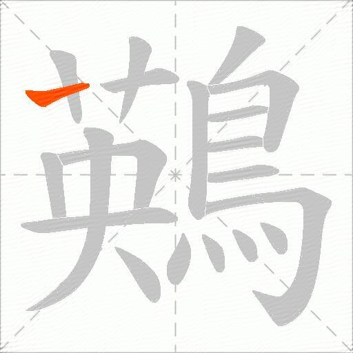 鶧