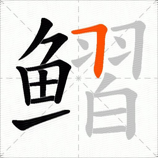 鳛