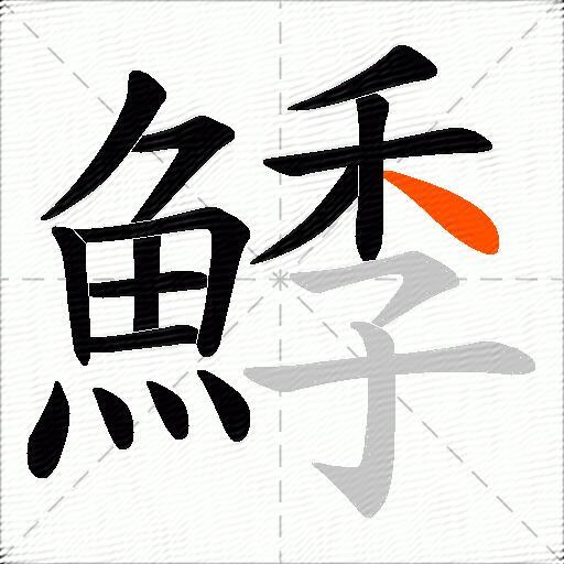 鯚