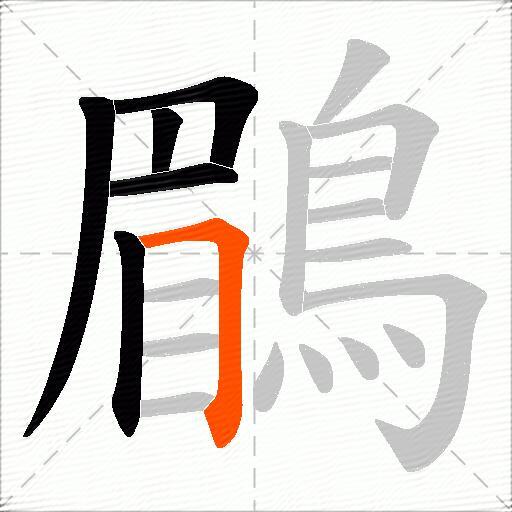 鶥