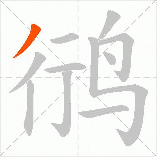 鸻