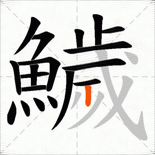 鱥