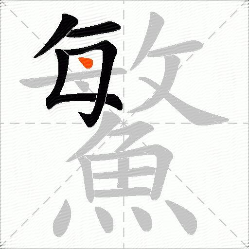 鰵