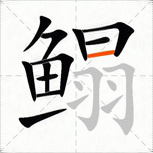 鳎