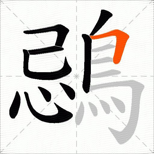 鵋