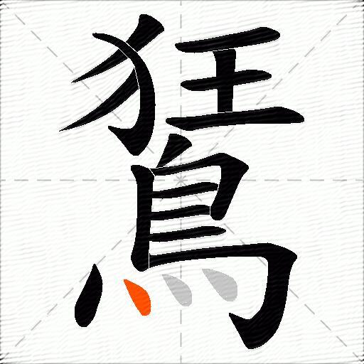 鵟