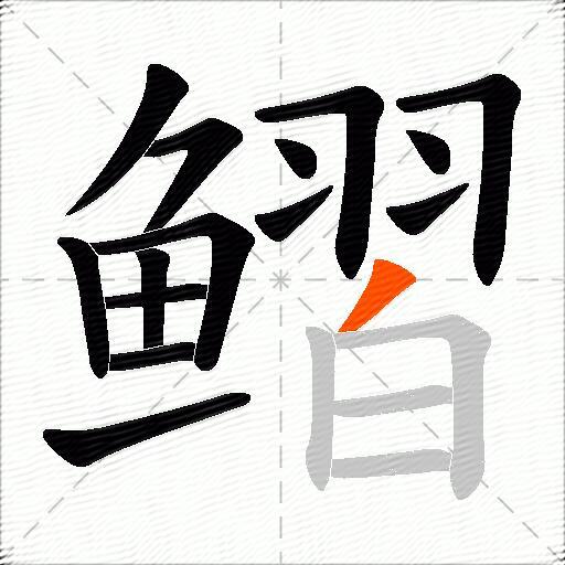 鳛