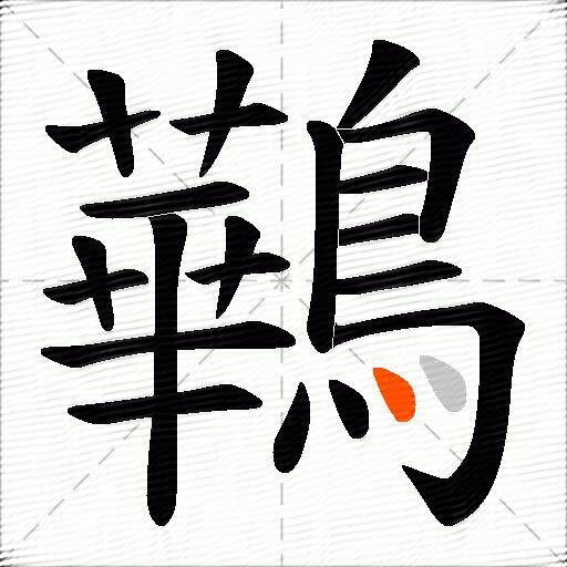 鷨