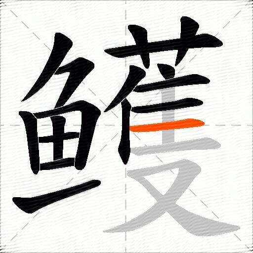鳠