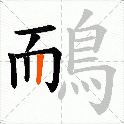 鴯