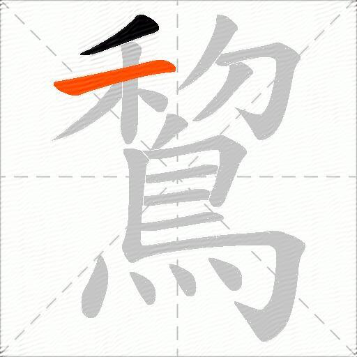 鵹