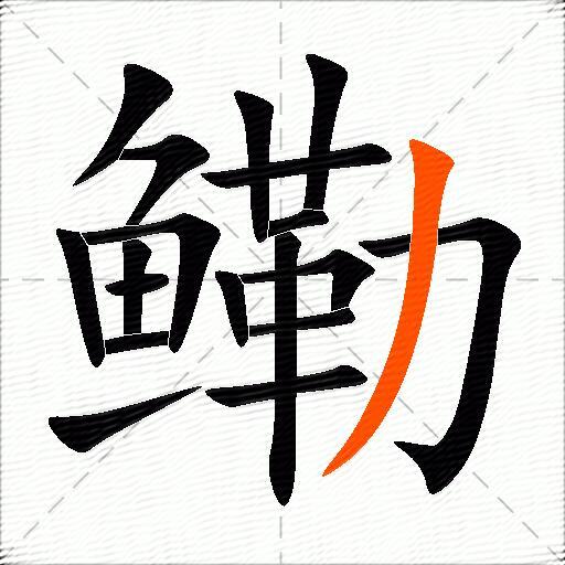 鳓