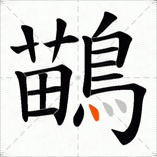 鶓